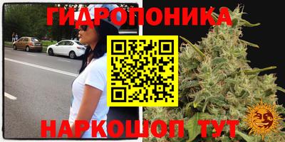 тгк Краснознаменск