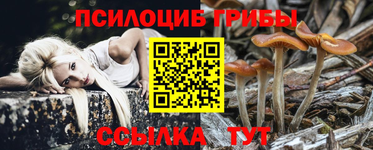 Южноуральск  Псилоцибиновые грибы мицелий  Вход с VPN 