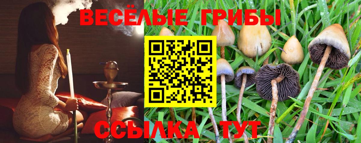 Галлюциногенные грибы Cubensis Южноуральск